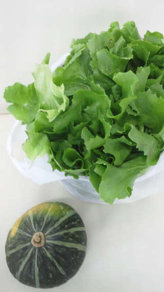 葉野菜！