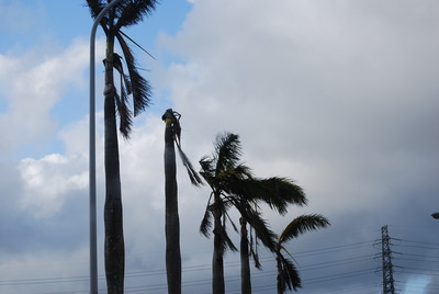 台風一過
