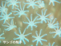 ２９．２度 2008/04/16 23:18:00