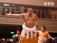 石垣島に大相撲がやって来た！ 2008/12/20 20:19:35