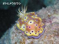 大きなうねりが・・・ 2008/03/31 19:02:23