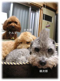 雨・・・ 2008/11/16 19:52:13