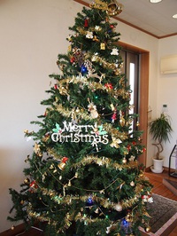 Ｃａｆｅ１０３　クリスマスツリー登場☆ 2013/12/07 11:30:00
