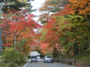 紅葉狩り3（北軽井沢に向かいます）