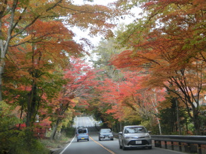 紅葉狩り3（北軽井沢に向かいます）