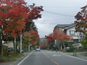 紅葉狩り3（北軽井沢に向かいます）