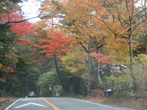 紅葉狩り（北軽井沢2）