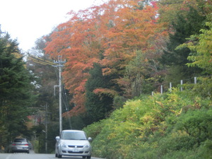 紅葉狩り（北軽井沢2）