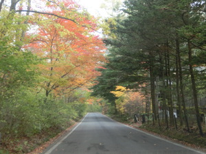 紅葉狩り（北軽井沢2）