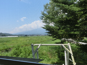 たんぽぽ食堂（軽井沢　発地）に行ってきた(^o^)