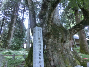 道の駅霊山たけやまと親都神社（お盆３日目）