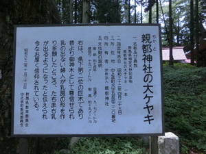 道の駅霊山たけやまと親都神社（お盆３日目）