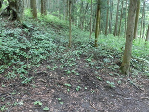 あの　真田の城　岩櫃城をみつけた。行かなくては（群馬お盆３日目）