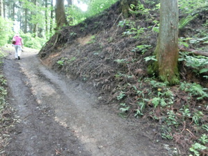 あの　真田の城　岩櫃城をみつけた。行かなくては（群馬お盆３日目）