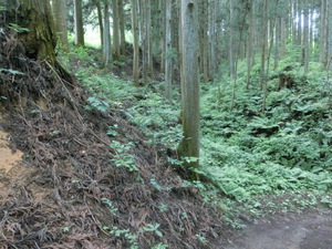 あの　真田の城　岩櫃城をみつけた。行かなくては（群馬お盆３日目）