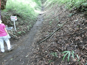 あの　真田の城　岩櫃城をみつけた。行かなくては（群馬お盆３日目）