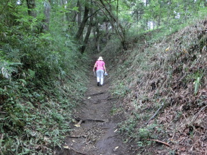 あの　真田の城　岩櫃城をみつけた。行かなくては（群馬お盆３日目）