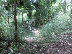 あの　真田の城　岩櫃城をみつけた。行かなくては（群馬お盆３日目）