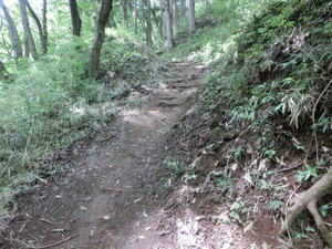 あの　真田の城　岩櫃城をみつけた。行かなくては（群馬お盆３日目）