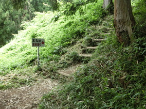 あの　真田の城　岩櫃城をみつけた。行かなくては（群馬お盆３日目）