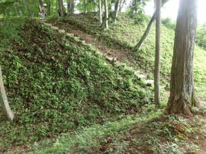 あの　真田の城　岩櫃城をみつけた。行かなくては（群馬お盆３日目）