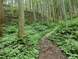 あの　真田の城　岩櫃城をみつけた。行かなくては（群馬お盆３日目）