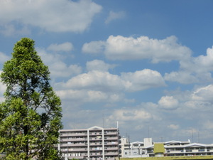 ある日の東京の絵のような？空