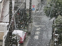 3月も終わりなのに東京２３区雪が降っています(-_-)