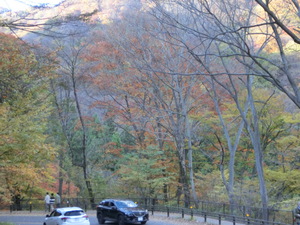 碓氷峠の紅葉。