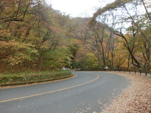 碓氷峠の紅葉。