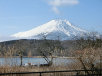 本日の富士山　まじかで見ました（山中湖）