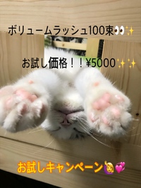 ボリュームラッシュお試し価格キャンペーン 2017/10/30 08:59:00