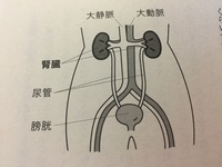 新しく生まれ変わるために、何かを手放していこう