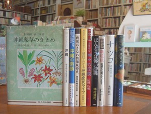 沖縄薬草のききめ 戦後沖縄物価風俗史 あわもり 琉球の玩具と漆器 など 沖縄セレクト古本屋日記 ちはや書房