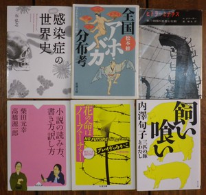 ブレイディみかこ 内澤旬子 獅子文六 中村文則 横溝正史 ブローティガン 澁澤龍彦 サティ 串田孫一 クラカワー 他 沖縄セレクト古本屋日記 ちはや書房