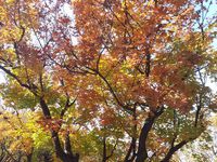 太舟塢→八大處 2013/10/31 10:10:00