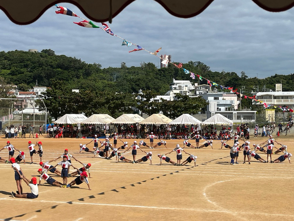 運動会❗️2023.11.19