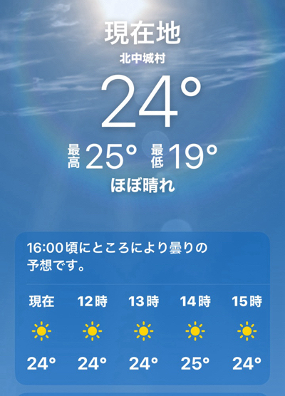 沖縄花のカーニバル❗️2024.1.20