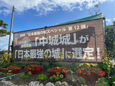 沖縄花のカーニバル❗️2024.1.20