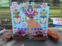 沖縄花のカーニバル❗️2024.1.20 2024/01/20 13:09:29