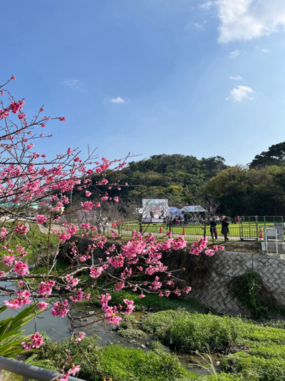 クリーンアップ・桜まつり・産業まつり❗️2024.2.11