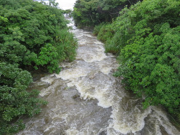 ビーチクリーン延期と増水した川での水難事故