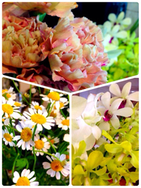 5/15 オープン時間 2015/05/15 11:27:17