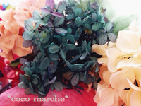 6/11 オープン時間 2015/06/11 11:09:51