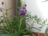 その悩みは一時的に弱くなるけど、それらがリソースになる。 2014/06/01 15:21:50