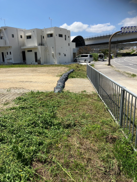 梅雨入り前に 梅雨入り前に