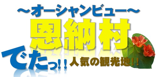 でたっ 恩納村のオーシャンビュー物件 沖縄不動産の玉手箱 Cube キューブ のスタッフブログ