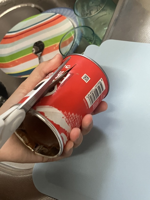 バズったものをやってみました！
