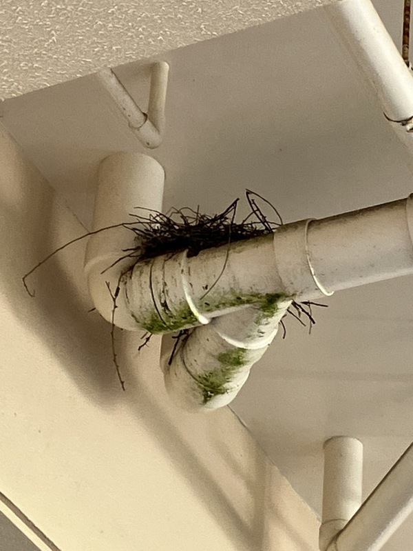 共生物件
