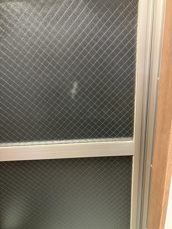 振り返ればヤツがいた